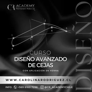 Diseño Profesional de Cejas con Aplicación Henna